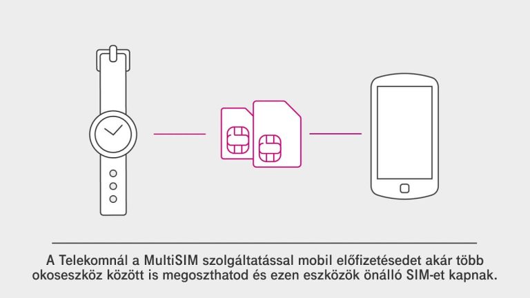 video_multisim_mierdhasznald