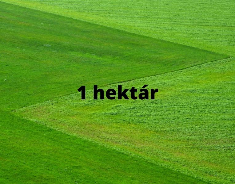 1-hektar