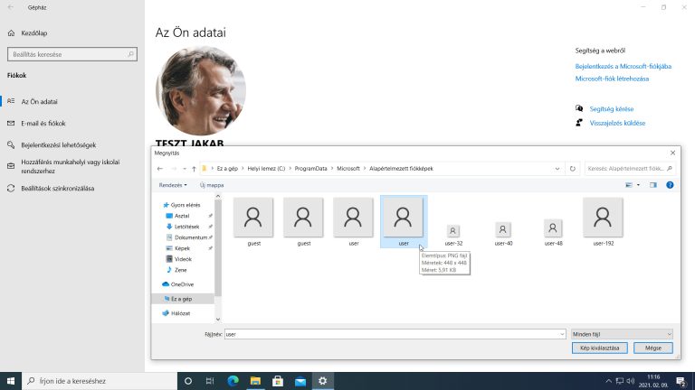 290-K-W10-profilkep_8_Alapertelmezettfiokkepmappa