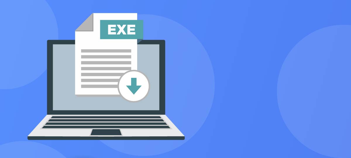 exe-file3