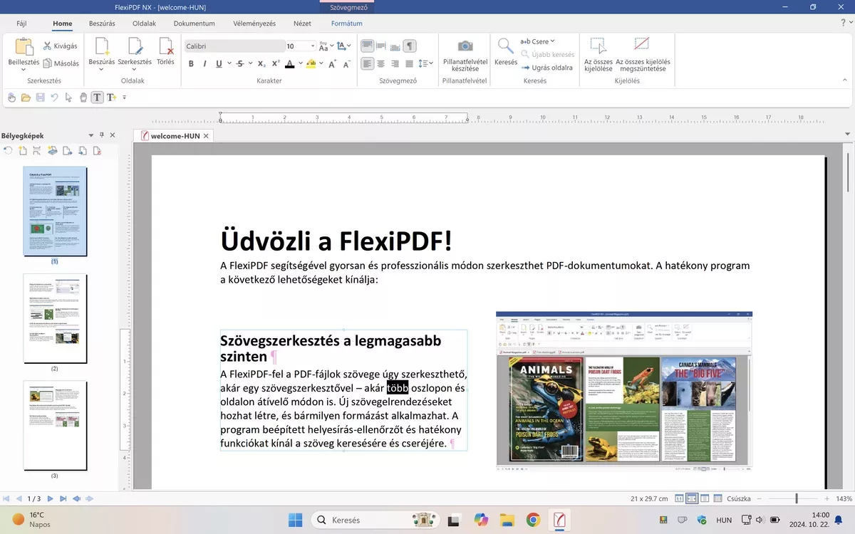 A legjobb PDF szerkesztő programot keresed? –  AI fordítás, plusz profi eszközök – FlexiPDF