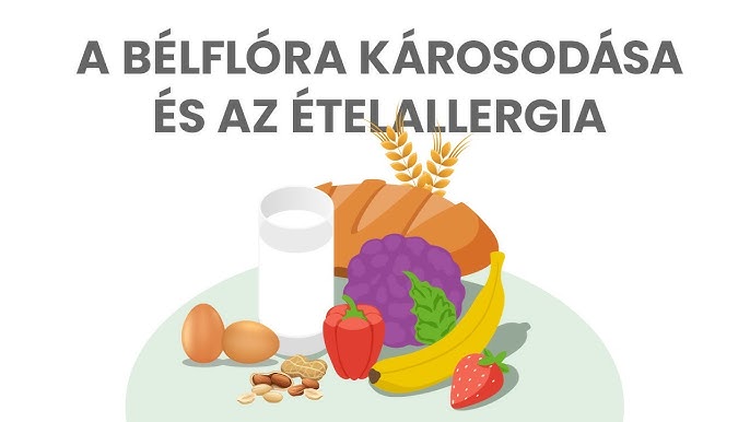 A bélflóra károsodása és az ételallergia összefüggései: Hogyan befolyásolja a bélmikrobák egyensúlyának felborulása az ételallergiákat és a bélrendszer működését?