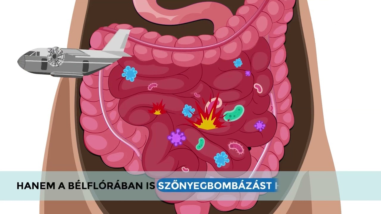 A bélflóra működése és az antibiotikumok hatása az egészségünkre: Hogyan befolyásolják a gyógyszerek a bélbaktériumok egyensúlyát és miért fontos a bélflóra védelme?
