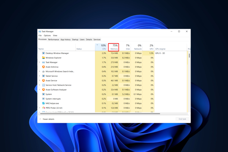 ram-w11