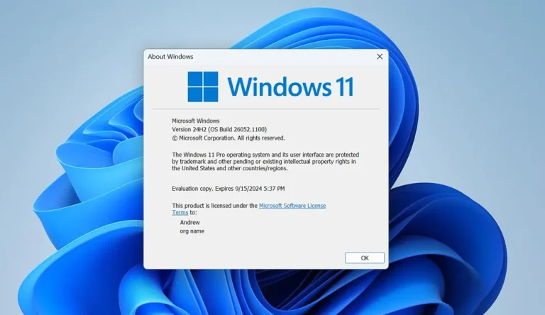 win11-24h2