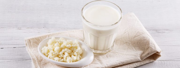 Organic probiotic kefir drink and kefir Tibetan mushrooms