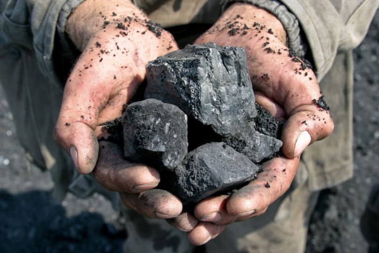 56833877 - coal miner in the hands of coal background