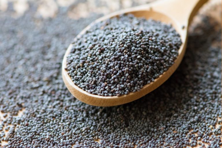 Wooden spoon with poppy seeds, close-up