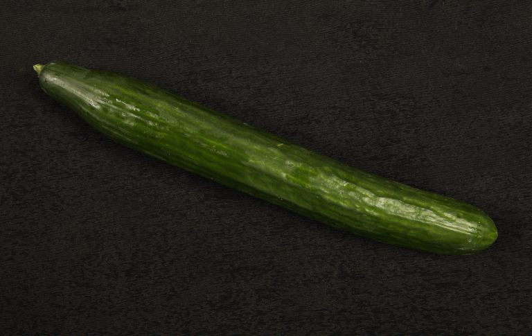 9496