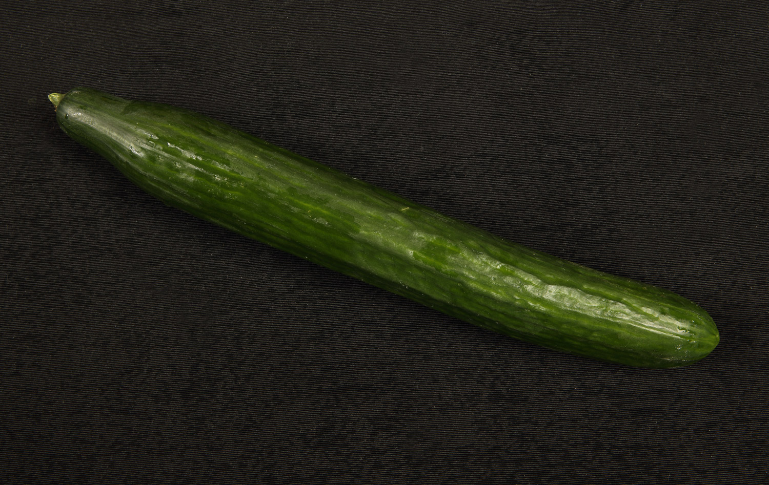 9496