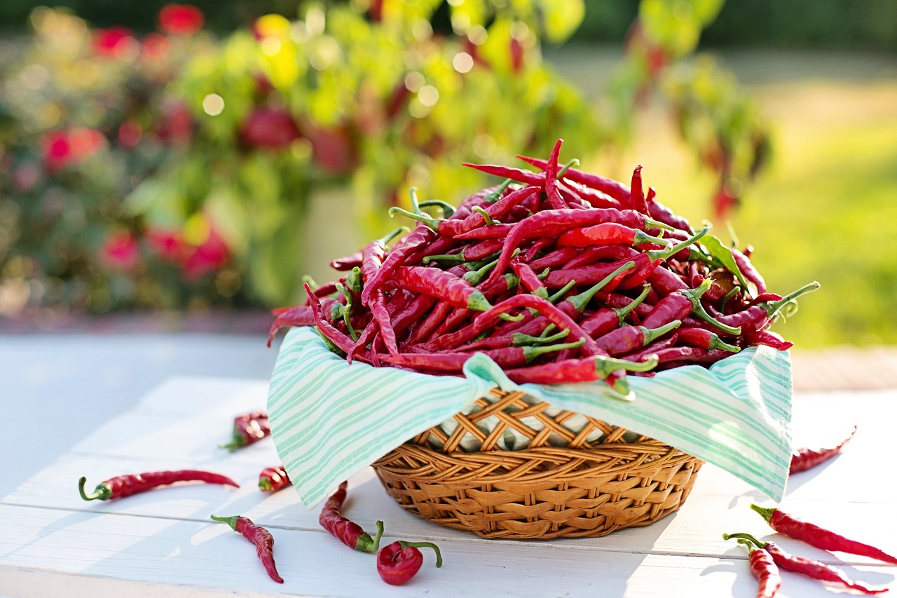 cayenne-peppers-2779828_1280