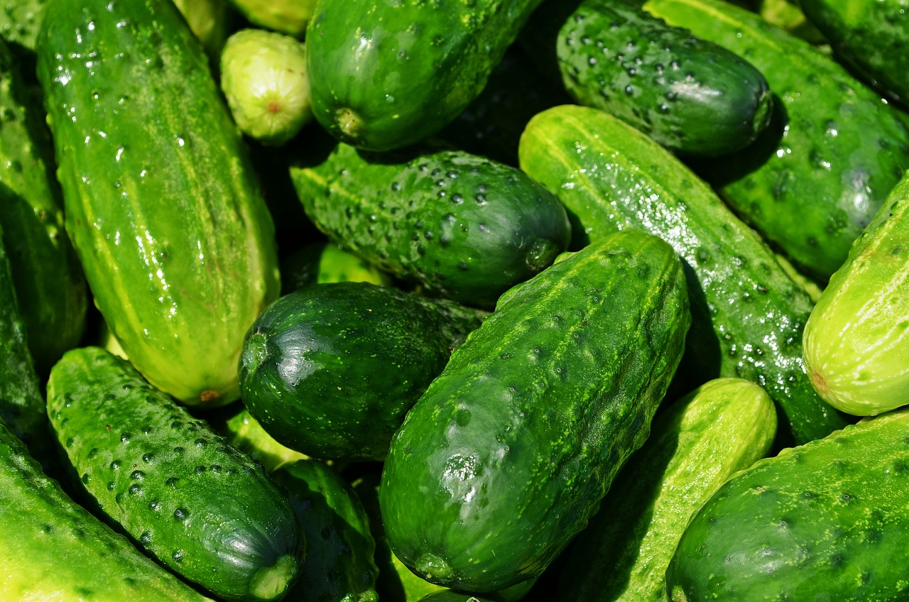 Mi történik a csemege uborkával, ha lefagyasztjuk és felengedjük? Megőrzi frissességét vagy változik az íze és textúrája?