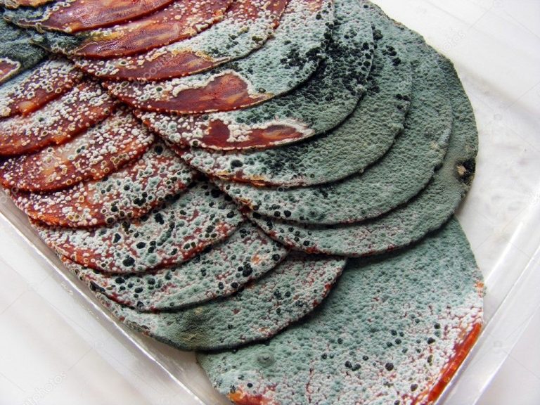 depositphotos_4404162-stock-photo-rotten-slices-of-meat