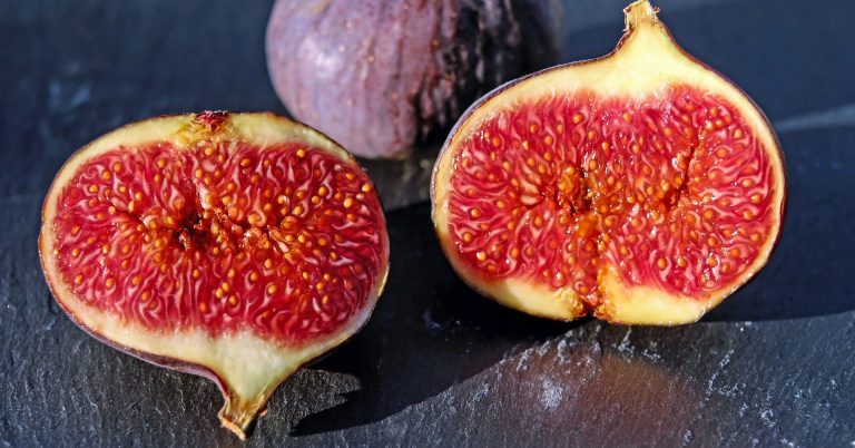 figs-1620590_1920_focuspointcut_600100010x314100010