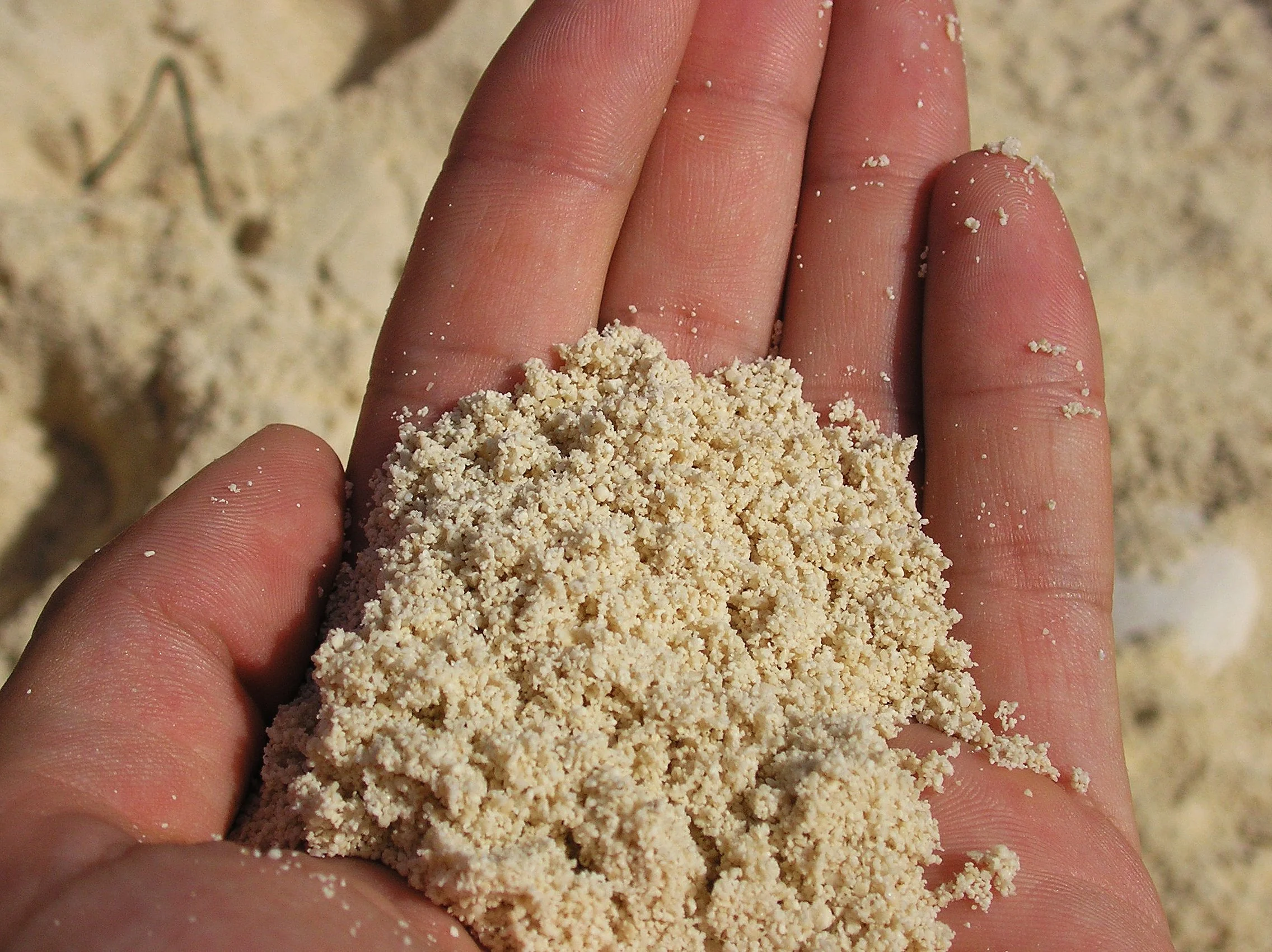 hand-sand-beach-6228496-o
