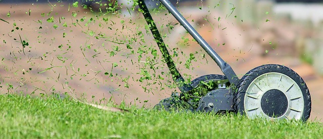 Őszi fűnyírás: mikor vágjuk utoljára a gyepet