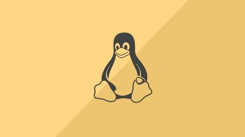Linux Mint installieren: Schritt-für-Schritt-Anleitung für Einsteiger