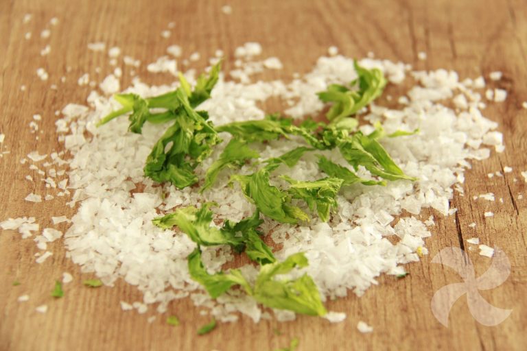 sal-de-apio-casera-4-thermorecetas