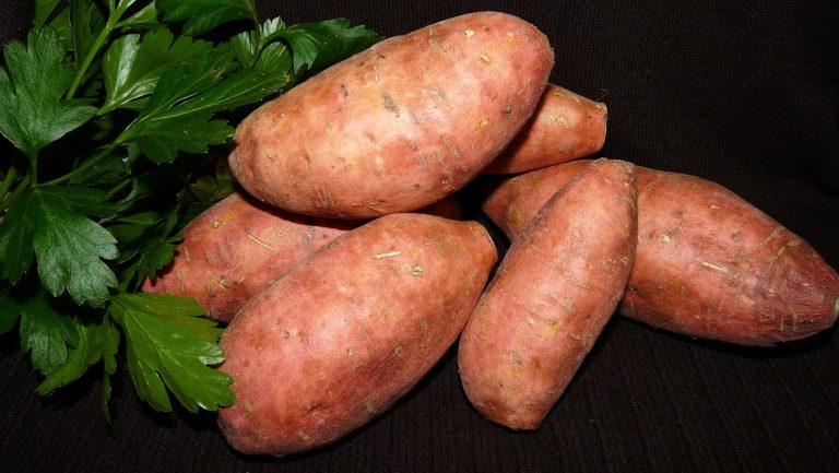 vegetable-3559112_1280