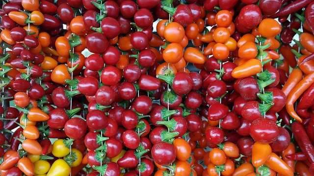 Hogyan és mikor érdemes eltenni az almapaprika magját vetéshez?