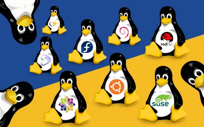 Melyik Linux disztró a legjobb? Testreszabhatóság, dizájn és felhasználóbarát megoldások