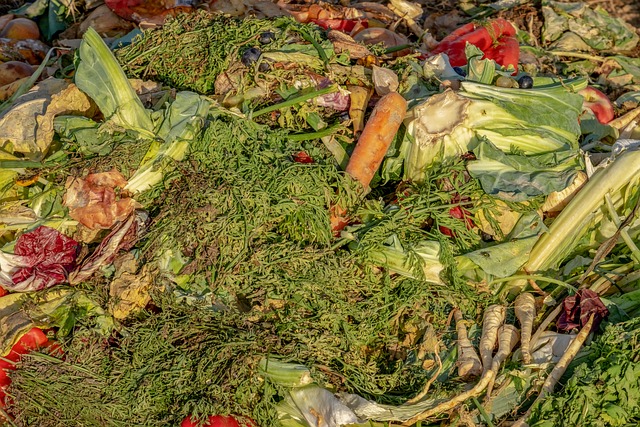 compost-3663514_640