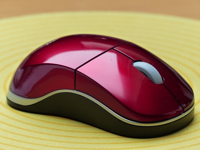 computer-mouse-113102_640