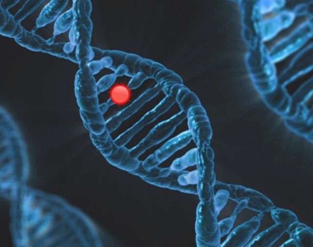 dna-6560897_640