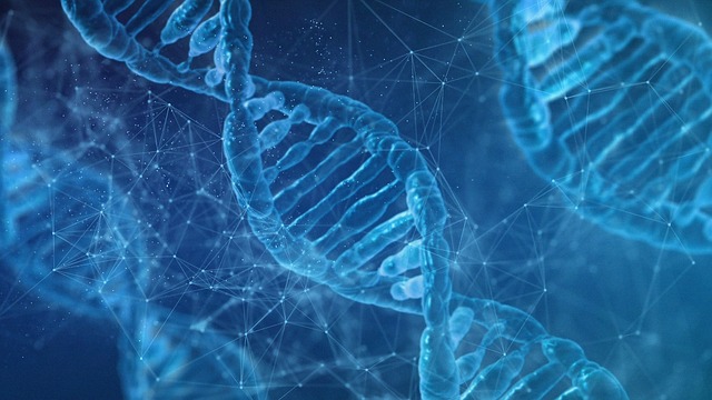 dna-7090994_640