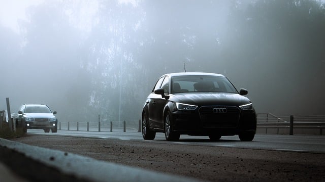 fog-8208493_640