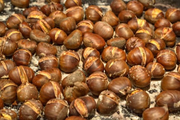 gesztenye-600x400