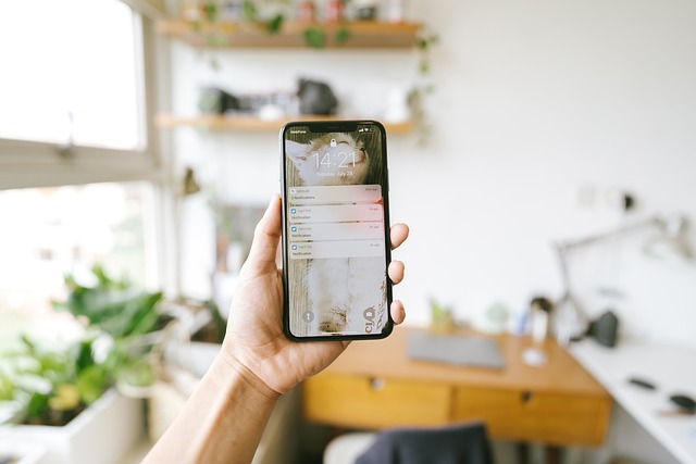 iphone-5537230_640