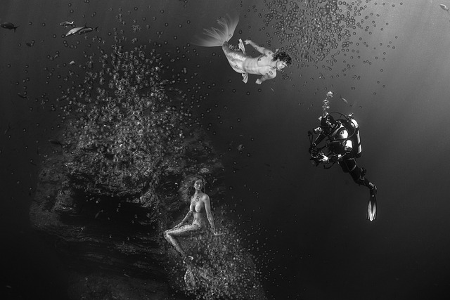 mermaid-2496112_640