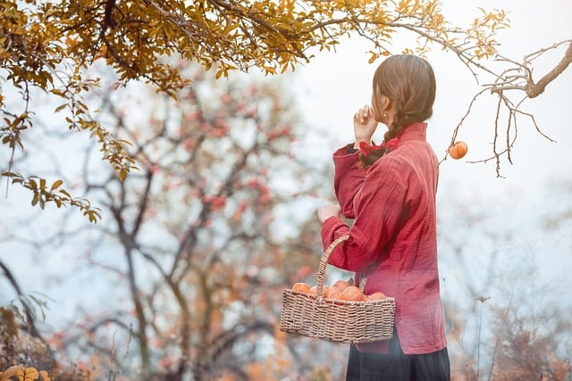 persimmon-tree-9118395_640