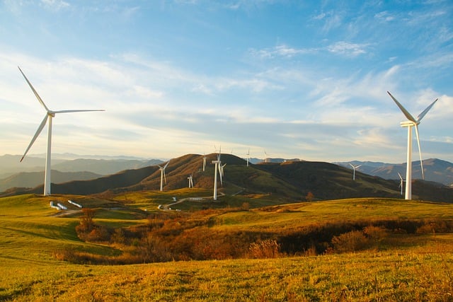 windmills-7986053_640