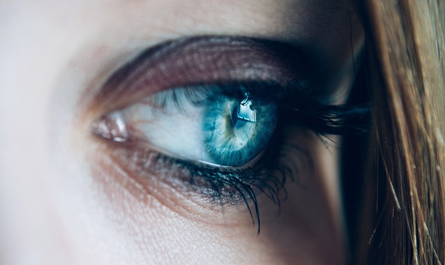 close-up-1837213_640
