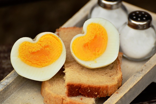 egg-1536990_640