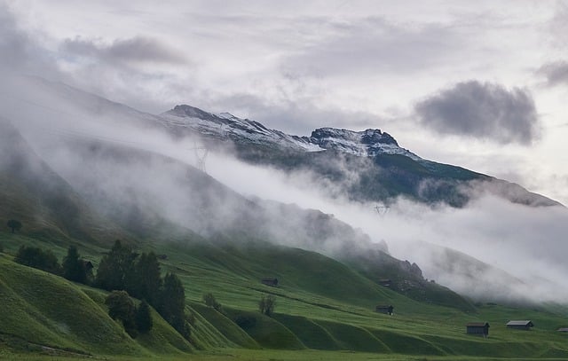 fog-7760708_640