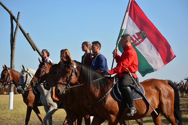 hungarian-173703_640