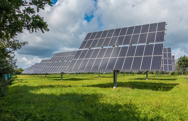 Welche Solarmodul-Typen gibt es und welche sind die effizientesten?