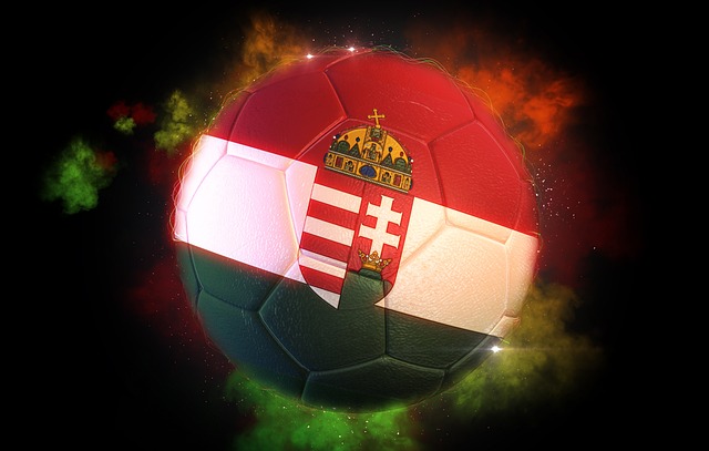 soccer-3036180_640