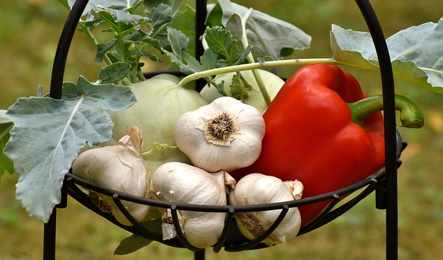 vegetables-3483066_640