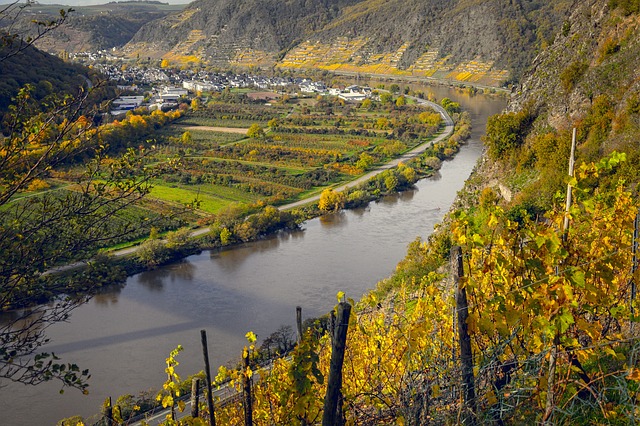vineyards-4666055_640
