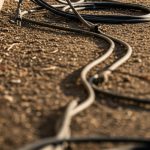 speaker-cable