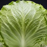 vdd