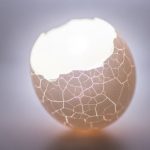 654654