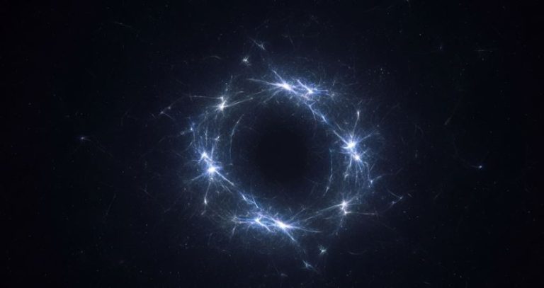 67564