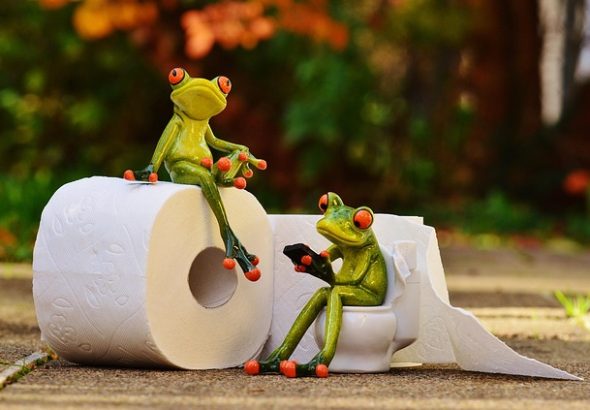 frog-1037261_640