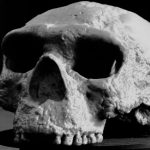 Ez az egymillió éves kínai koponya borítja az asztalt: a Homo sapiens félmillió évvel öregebb lehet, mint hittük!