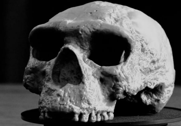 Ez az egymillió éves kínai koponya borítja az asztalt: a Homo sapiens félmillió évvel öregebb lehet, mint hittük!